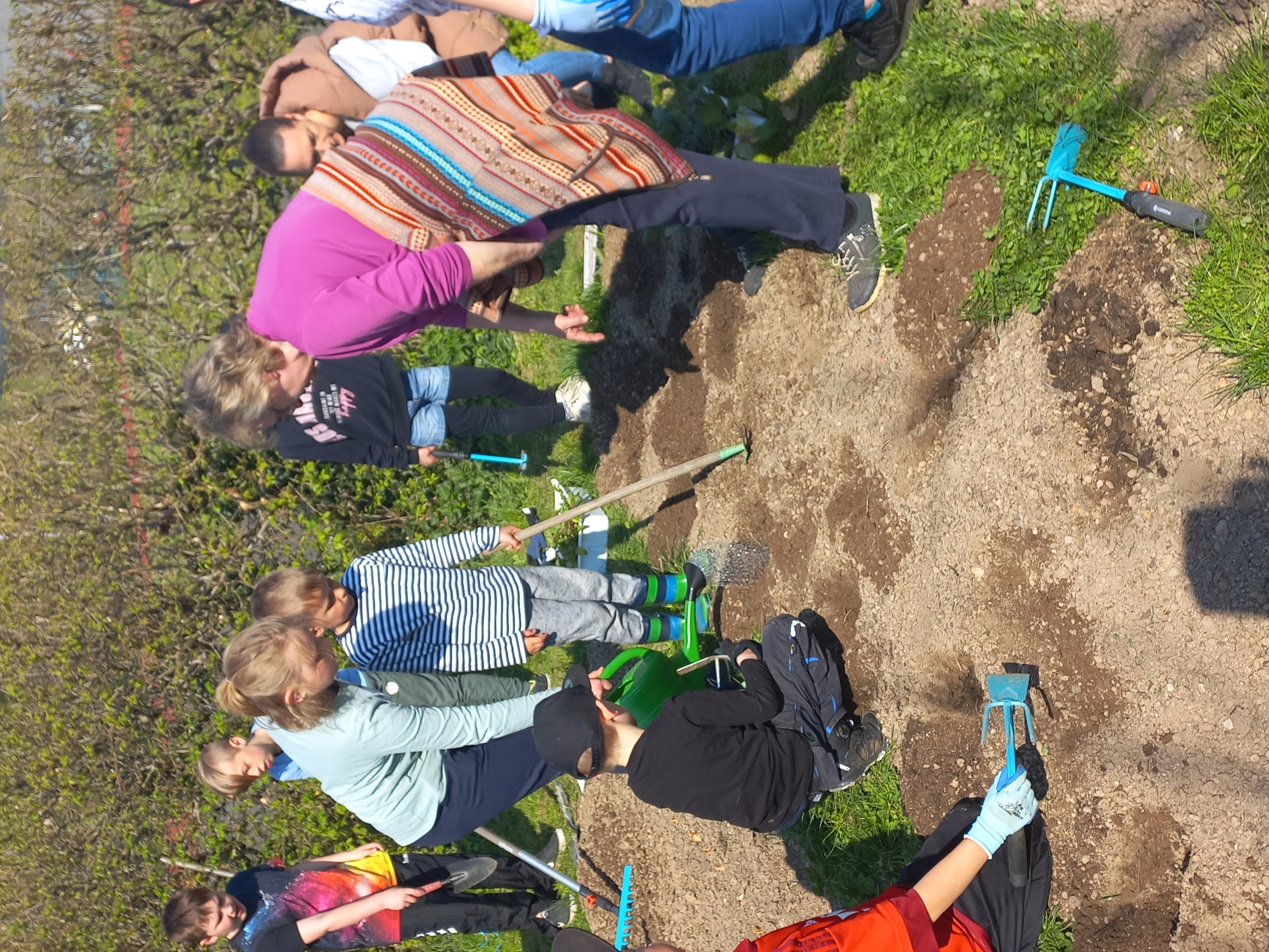 Hilfe beim Anbau bekommen wir vom Gartenbauverein